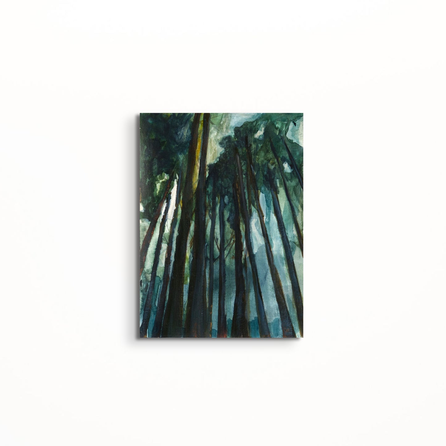 Redwoods Study