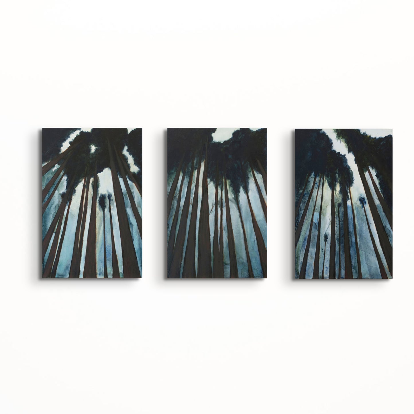 Redwoods Triptych