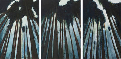 Redwoods Triptych